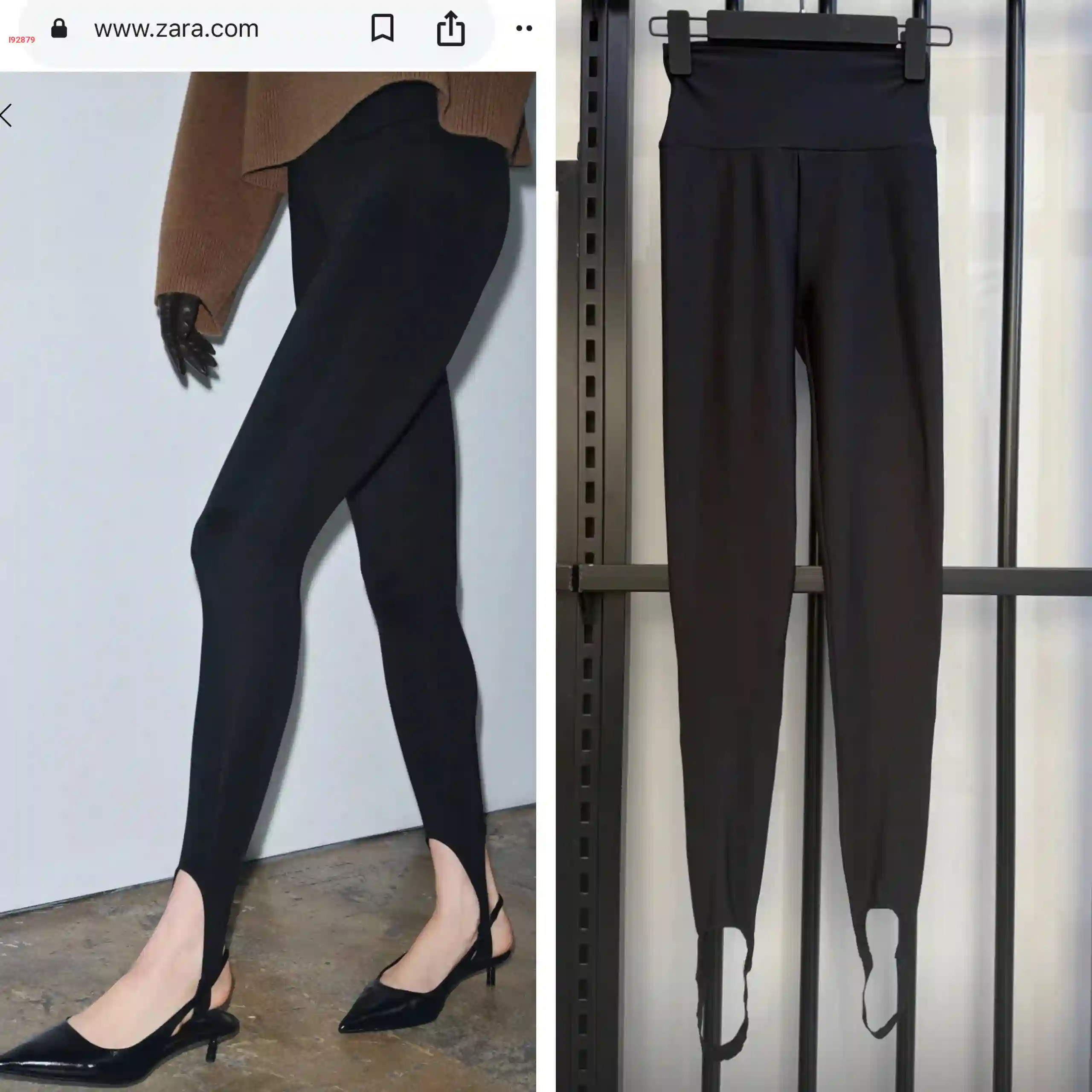 فيزون رياضي