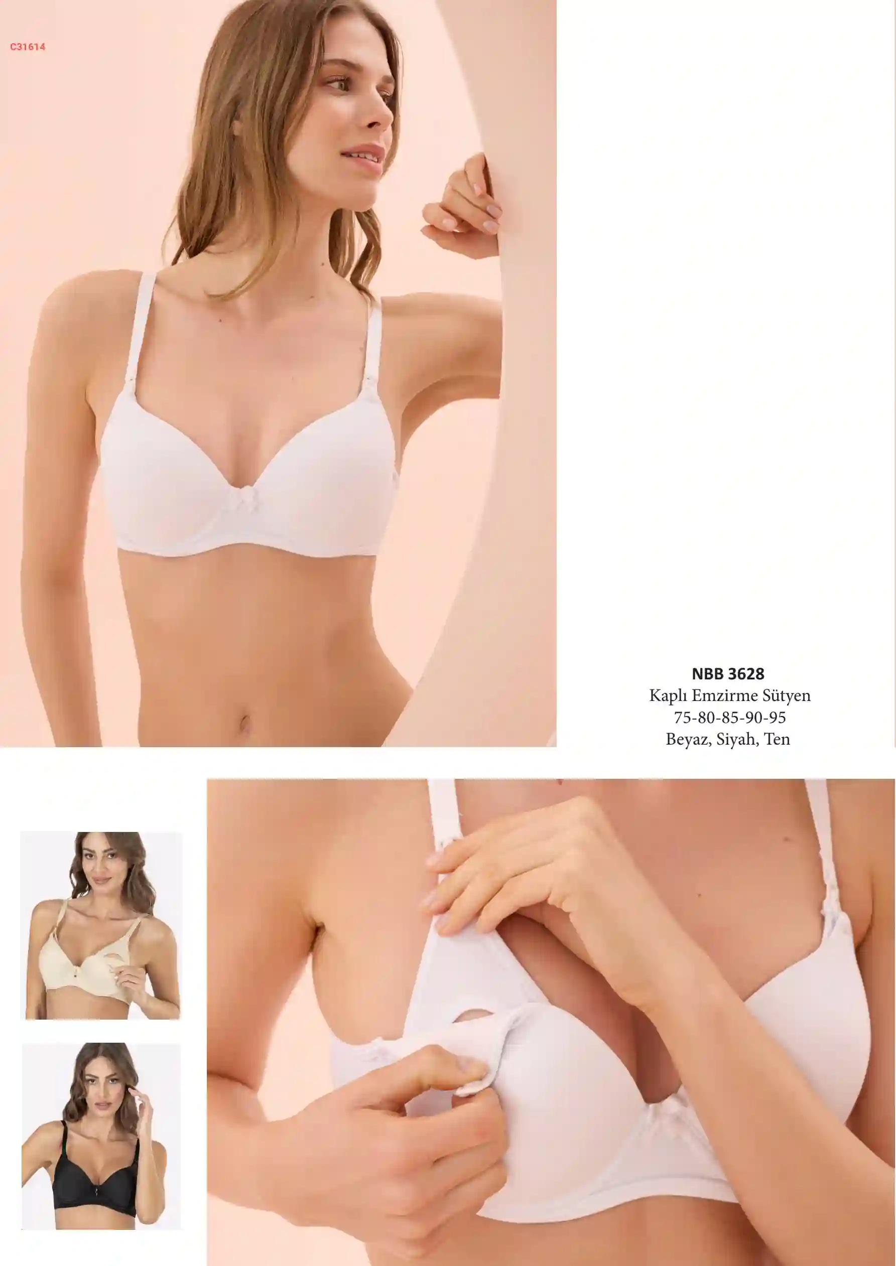 قسم السوتيان