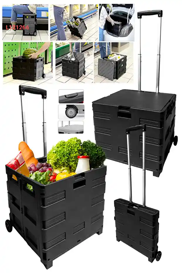 نزهة وتخييم